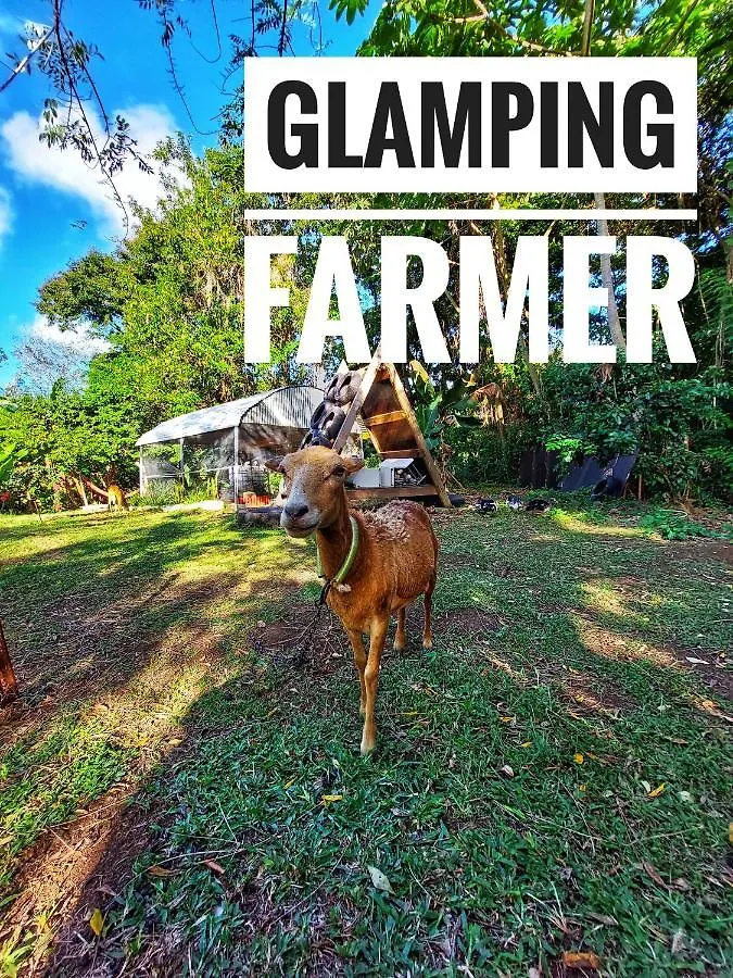 Glamping Farmer Le Vauclin 0*,  Martinik