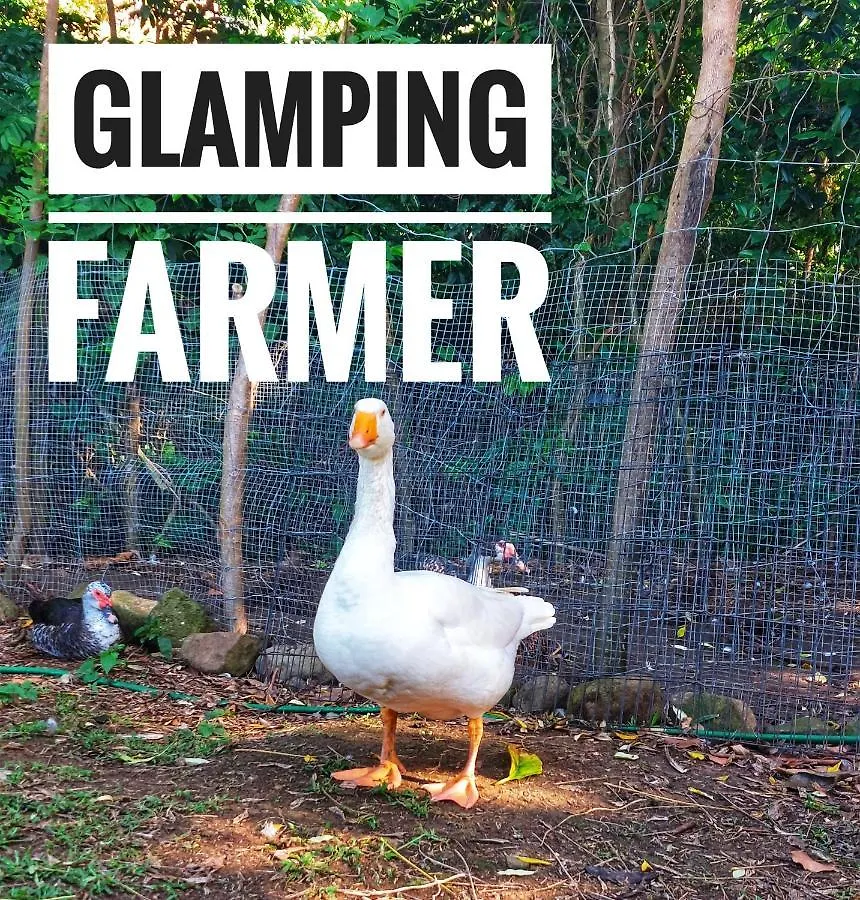 Glamping Farmer Le Vauclin Martinik