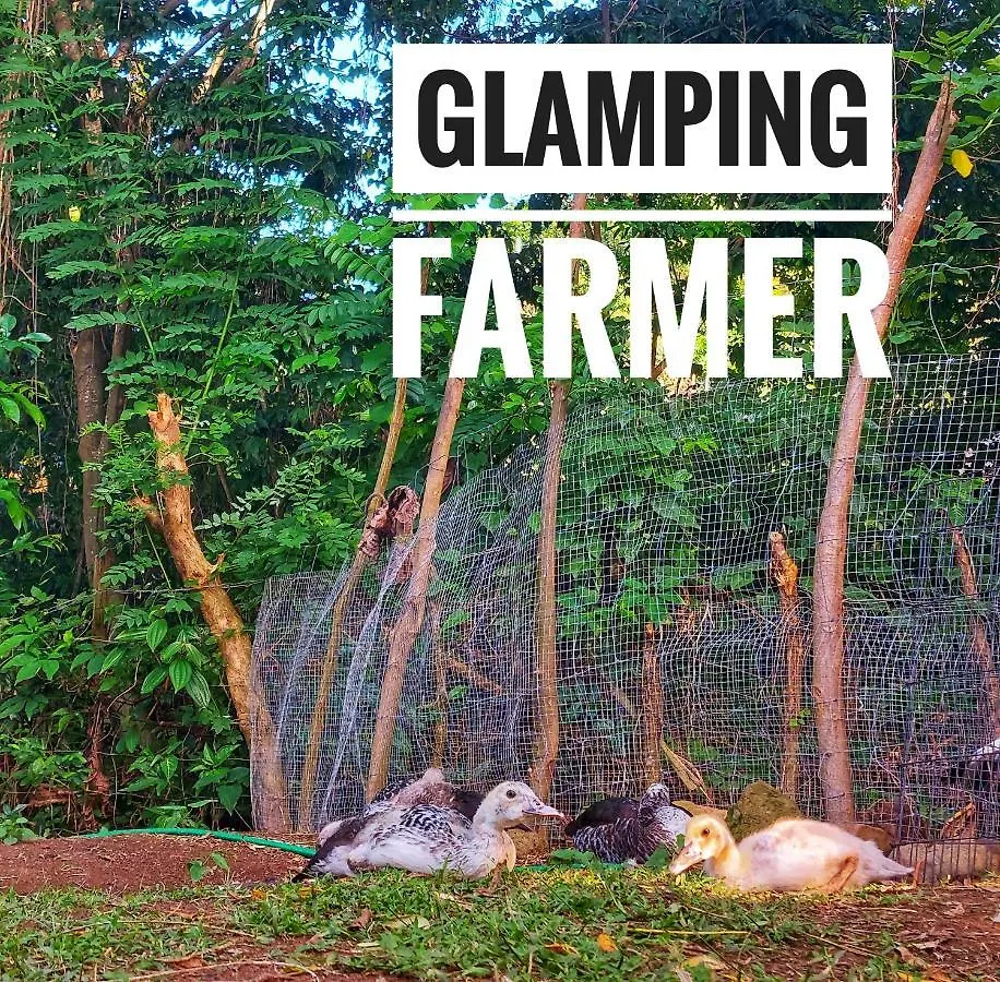Glamping Farmer Le Vauclin